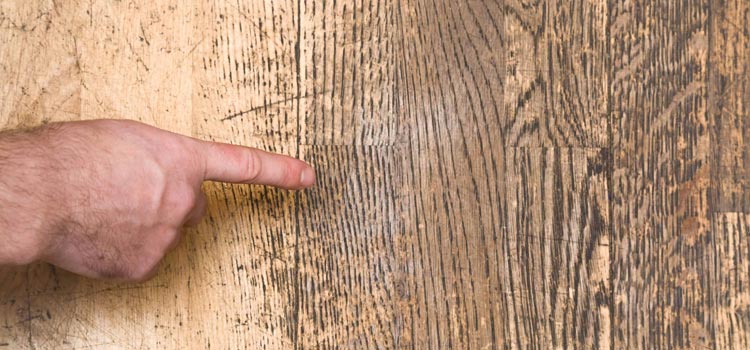Wood Door Scratch Repair in Sacramento